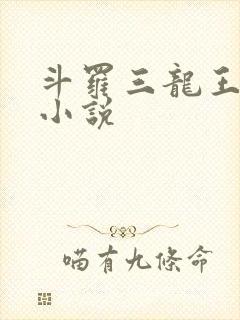 斗罗三龙王传说小说封面