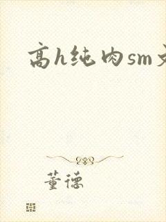 高h纯肉sm文封面