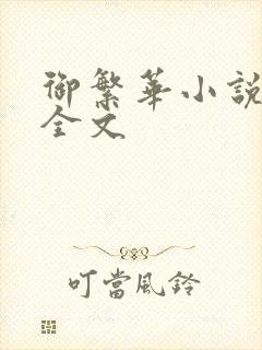 御繁华小说阅读全文