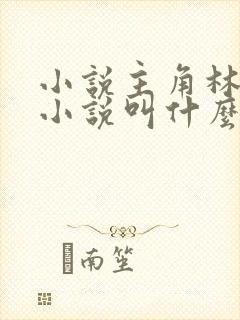 小说主角林辰的小说叫什么