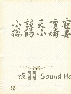 小说天价宠妻霍总的小娇妻封面