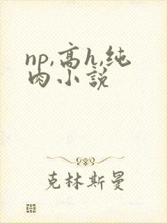 np,高h,纯肉小说封面