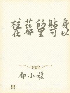 校花的贴身高手在哪里可以看