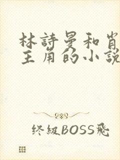 林诗曼和肖凡为主角的小说