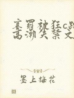 赛罗被狂c躁到高潮失禁文封面