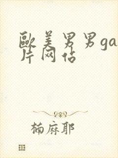 欧美男男gay片网站