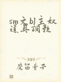 sm文bl主奴道具调教