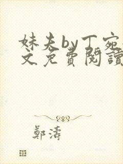 妹夫by丁宛全文免费阅读笔趣阁封面