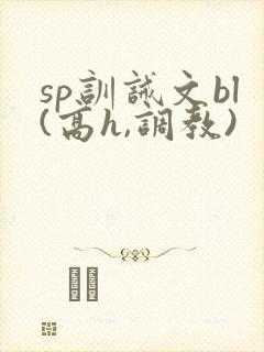 sp训诫文bl(高h,调教)