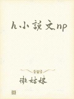 h小说文np