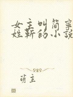女主叫简宁男主姓靳的小说