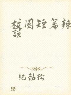 校园短篇辣文小说