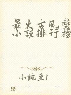 最火古风双男主小说排行榜