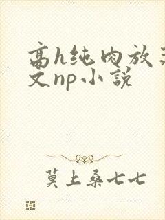 高h纯肉放荡h文np小说