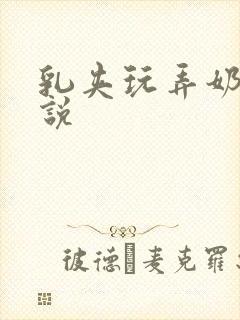 乳夹玩弄奶头小说