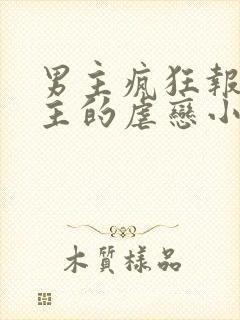 男主疯狂报复女主的虐恋小说