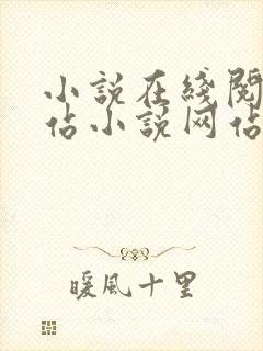 小说在线阅读网站小说网站封面