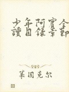 少年阿宾全文阅读目录章节