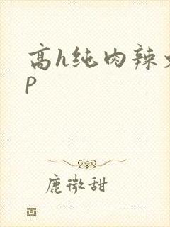 高h纯肉辣文np