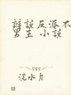 谁说反派不能当男主 小说