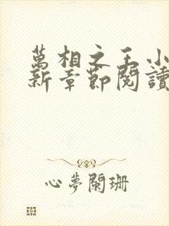 万相之王小说最新章节阅读全文封面