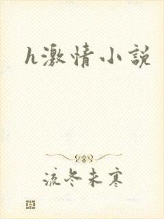 h激情小说