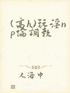 (高h)玩淫np伦调教