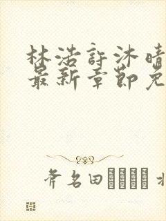 林浩许沐晴小说最新章节免费阅读全文