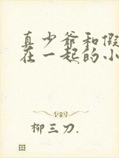 真少爷和假少爷在一起的小说封面