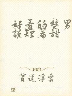 好看的双男主小说短篇甜