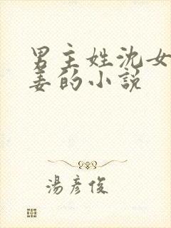 男主姓沈女主姓姜的小说