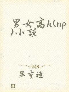 男女高h(np)小说