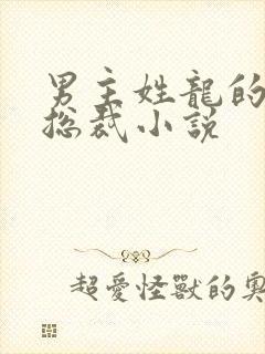 男主姓龙的霸道总裁小说