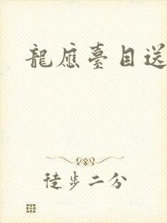 龙应台目送封面