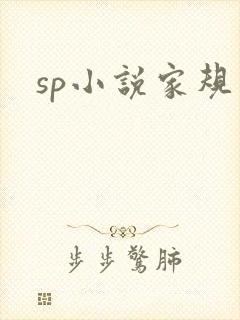sp小说家规封面