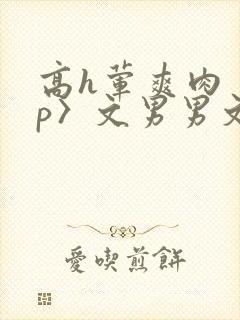 高h荤爽肉〈np〉文男男文