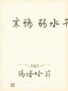 寒鸦 弱水千流