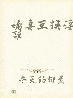 娇妻互换淫欢小说