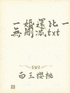 一婚还比一婚高无删减txt封面