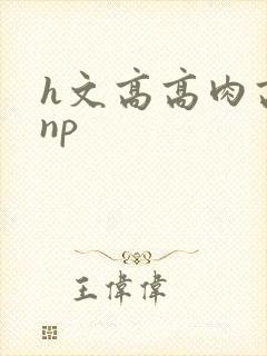 h文高高肉高辣np封面