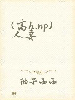 (高h.np)人妻封面