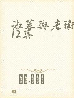 淑蓉与老卫1一12集封面