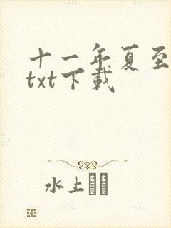 十一年夏至番外txt下载封面
