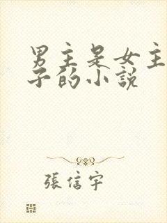 男主是女主的养子的小说