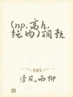 (np,高h,纯肉)调教
