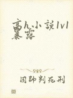 高h小说1v1暴露封面