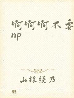 啊啊啊不要高hnp
