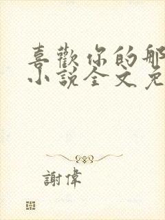 喜欢你的那十年小说全文免费阅读