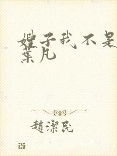 嫂子我不是傻子叶凡