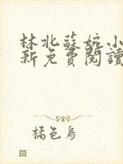 林北苏婉小说最新免费阅读